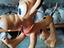 Immagine 2