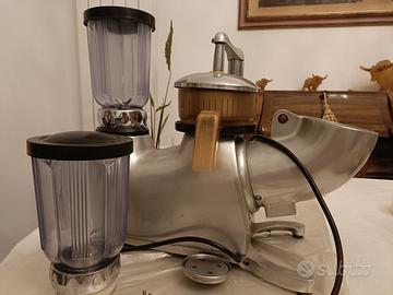 spremiagrumi frullatore tritaghiaccio professional