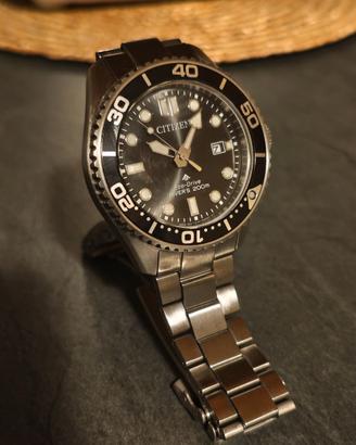 Citizen Eco-Drive Promaster