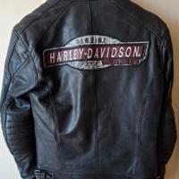 Giacca pelle Harley-Davidson 