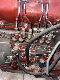 Pompa gasolio iniezioni iveco 420 - 8210.42