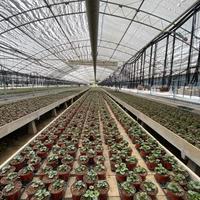 Serra tunnel agricola zincata a caldo