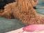 Immagine 3