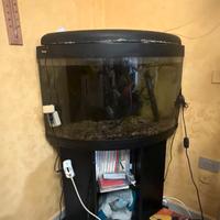 Acquario angolare con mobile