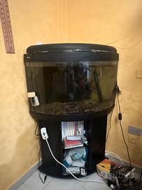Acquario angolare con mobile