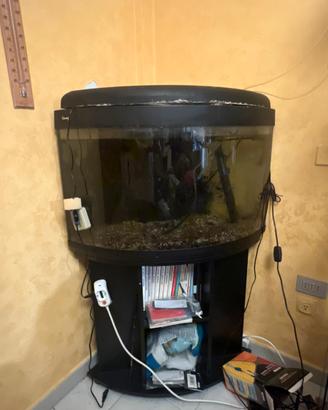 Acquario angolare con mobile