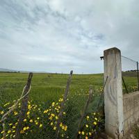 Terreno agrivoltaico 30.000mq