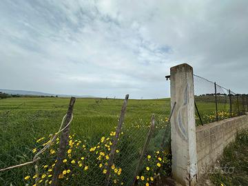 Terreno agrivoltaico 30.000mq