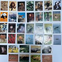 Figurine Panini WWF animali da salvare