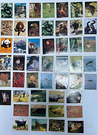 Figurine Panini WWF animali da salvare