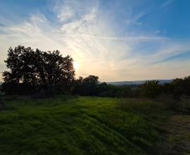 Terreno edificabile posizione panoramica