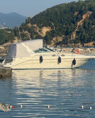 SEA RAY 290 SUNDANCER - MOTORI 2010 con sole 300h