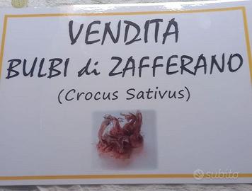 zafferano