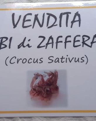zafferano