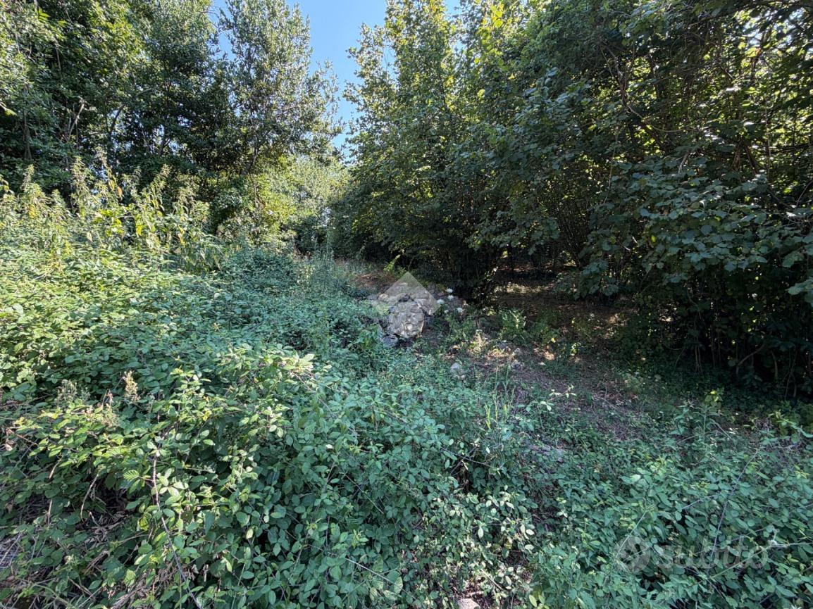 RUSTICO A BRACCIANO - Vista 4