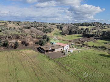 VILLA SINGOLA A BRACCIANO