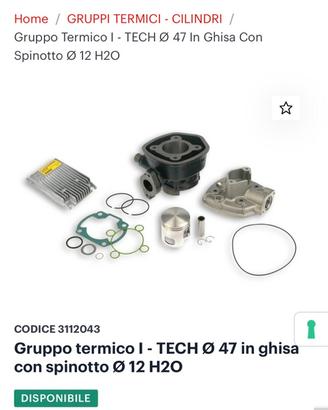 Malossi MHR per Aprilia sr Ditech