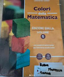 i colori della matematica - volume 1