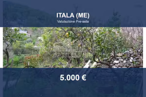 Immobile in asta di 6395 m² a Itala