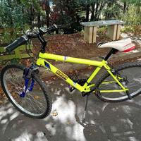 Bicicletta Mountain Bike Casadei