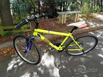 Bicicletta Mountain Bike Casadei