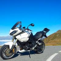 Triumph Tiger 1050se