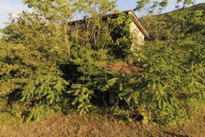 Appartamento di 115 m² con 5 locali a San Giorgio 