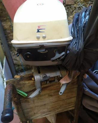 Evinrude 8cv
