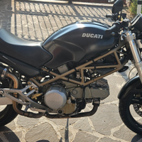 Ducati monster