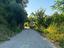 Immagine 11