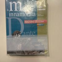 divina commedia la mente innamorata