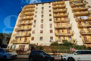 Pressi V.le delle Scienze Attico 4 vani terrazzo