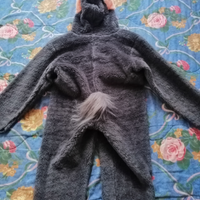 Vestito di carnevale