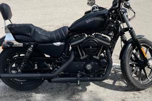Harley davidson 883 iron
