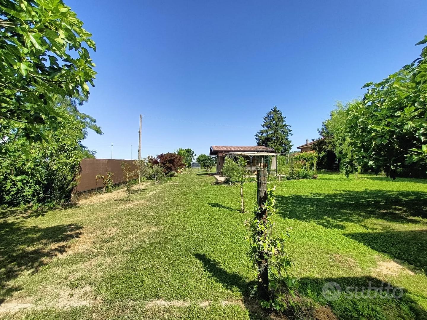 Terreno agricolo con ricovero attrezzi a Valenza - Vista 5