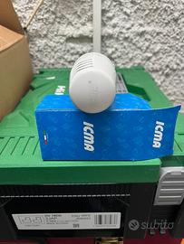 Testa termostatica icma