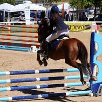 Super Pony