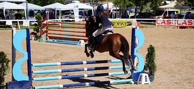 Super Pony
