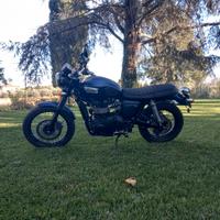 trumph scrambler 900