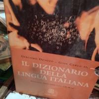 Il Dizionario della lingua italiana 