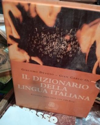 Il Dizionario della lingua italiana 