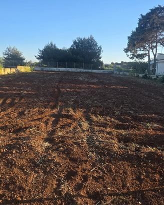 Terreno agricolo
