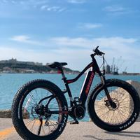 FatBike Argento MOTORE CENTRALE