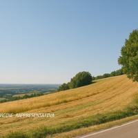 Seminativo a Verucchio