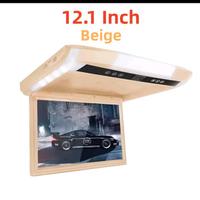 Monitor LCD da 12pollici per montaggio a soffitto 