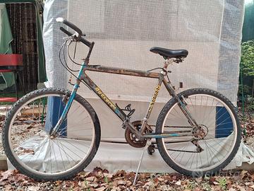 Bicicletta tipo mountain bike
