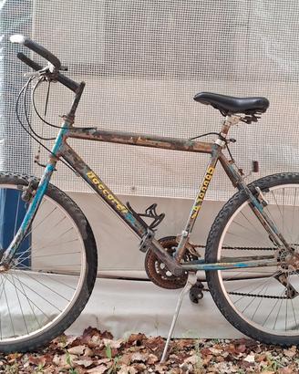Bicicletta tipo mountain bike