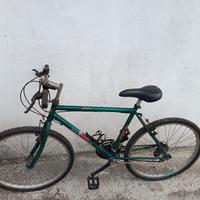Bicicletta Mountain bike 
