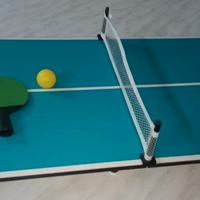 TAVOLO DA PING PONG PIEGHEVOLE 