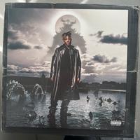 Juice WRLD fighting demons vinile